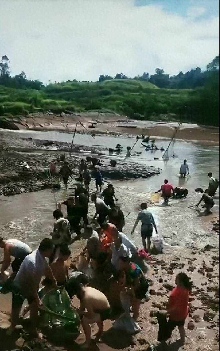 ag mos033皇冠_街道办违法强拆120亩鱼塘ag mos033皇冠，致37万斤鱼损失被判赔380万，回应称无赔付能力可法拍资产抵债