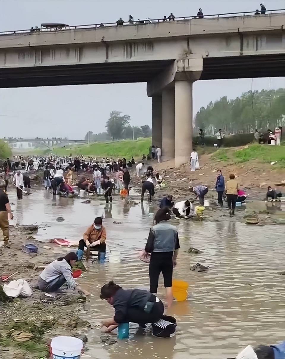 皇冠信用网APP下载_河南浚县一处河道内众人捞金?当地辟谣:捞的是花甲皇冠信用网APP下载,已劝离捕捞客