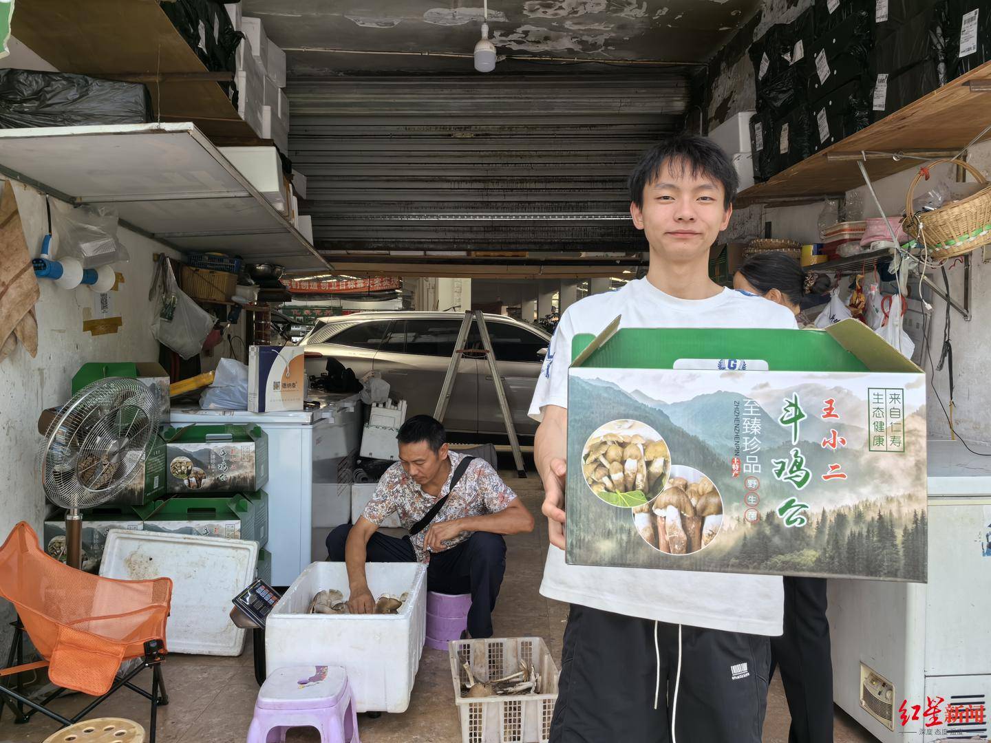 皇冠信用网在线开户_“天价”鸡枞调查:最贵卖到1800元/公斤!雨水少致产量低皇冠信用网在线开户,多地价高客少