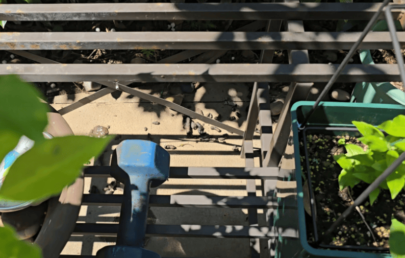 皇冠登一登二登三区别_上海一小区居民苦恼新邻居:突然搬来让人提心吊胆皇冠登一登二登三区别!不能抓不能打