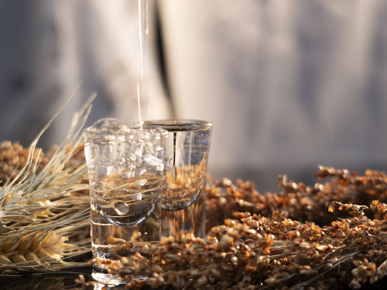 诺丁汉森林vs布伦特福德_白酒巨头“扎堆”光瓶酒:59元洋河卖爆了诺丁汉森林vs布伦特福德,有烟酒店老板半个月补货四次