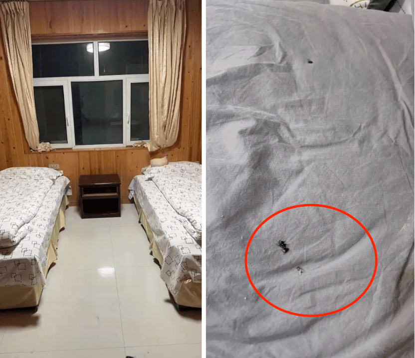 科罗纳vs拉多麦科_99元豪华游科罗纳vs拉多麦科,被骗到内裤不剩