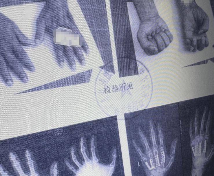 皇冠信用盘会员开户
_南海开渔皇冠信用盘会员开户
,无惧争“鲜”