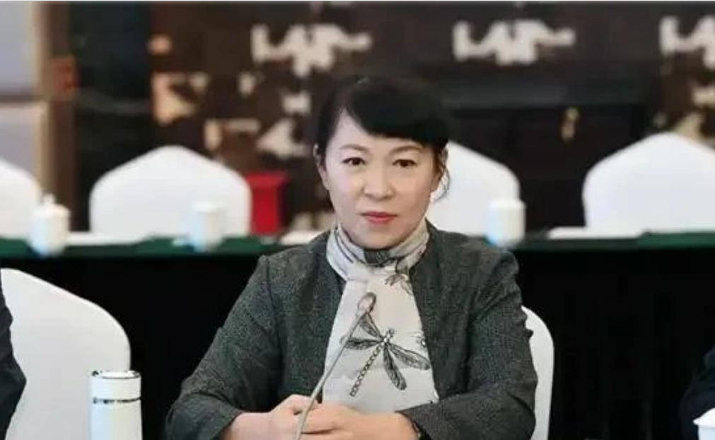 AC米兰vs克雷莫内塞
_“换装主席”王莉霞的堕落:从光鲜人设到腐败深渊