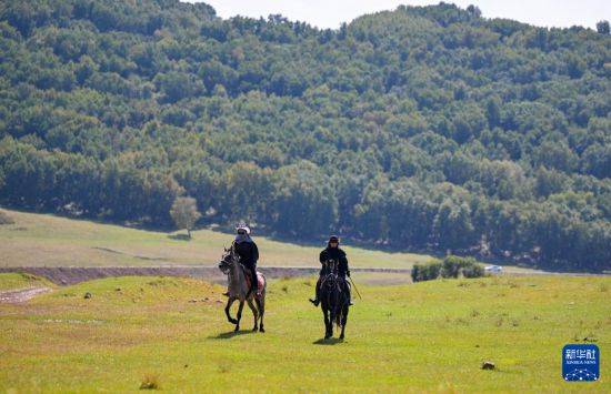 比沙奴 vs 利沃诺_初秋的乌兰布统草原