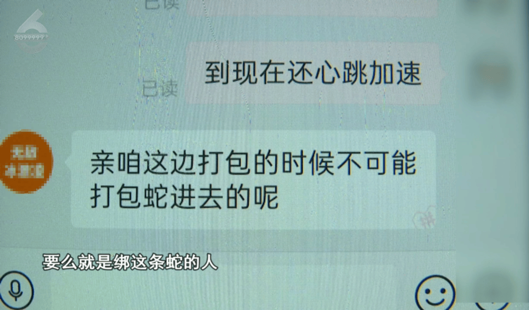 皇冠信用网结算日是哪天
_太吓人!云南女子网购塑料凳皇冠信用网结算日是哪天
,拆开竟发现一条蛇被胶带粘在椅子上!还在动
