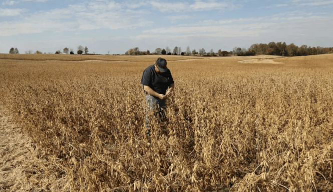 布里斯托城 vs 布莱克本
_谈妥了又突然变卦!中国复购美国大豆换关税暂停布里斯托城 vs 布莱克本
,美贸易代表直接通告全球:继续查中国