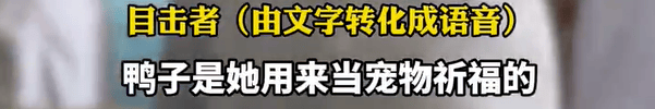 本菲卡 vs 勒洪库森
_养了四年的宠物鸭被汽车碾死本菲卡 vs 勒洪库森
，老太太当街包鸭痛哭，目击者：她老伴重病，鸭子是用来祈福的