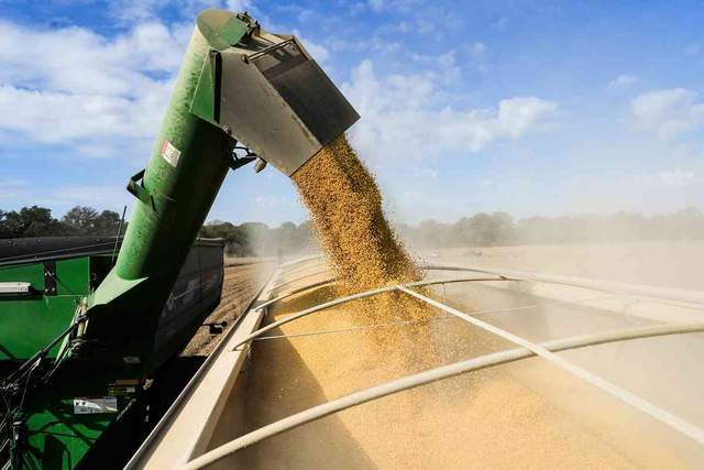 皇冠信用网庄家_中国采购800万吨美国大豆皇冠信用网庄家，美媒争相“报喜”，实则中美角色已互换