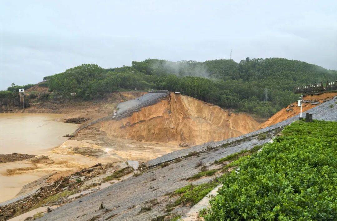 美国vs比利时_广西横州洪水致养蛇场近900条蛇出逃美国vs比利时，包括眼镜蛇、王锦蛇和水律蛇，一村民被蛇咬伤正在抢救……